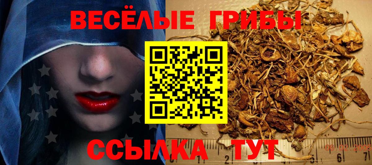 Псилоцибиновые грибы мухоморы  Псилоцибиновые грибы Psilocybine cubensis  Алатырь  Вход с VPN 