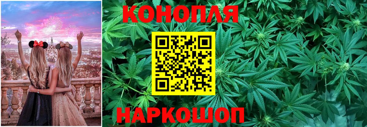 Бошки Шишки семена  Каннабис конопля  Конопля гибрид  Вход с VPN  Алатырь 